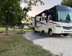 Forest River RV Georgetown 351DS