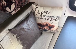 Say "Hello" to Evie!