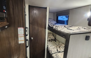 Breaking Dawn Wolf Pup