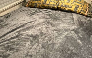 2009 Fleetwood Fleetwood RV Pulse Icon 24D