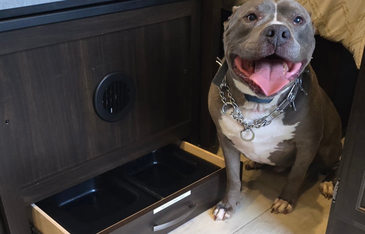 Dog Food and water bowls under the fridge.