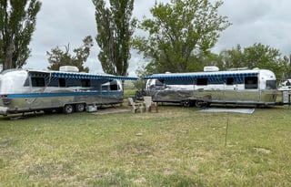 Silver Stays 1981 Airstream Excella II