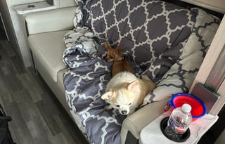 Obi-Wan - Boondocker's Delight - Just add water!