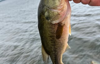 2021 Coachmen RV Clipper Ultra-Lite 17BH