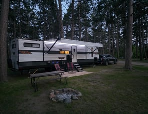 Forest River RV Wildwood 29VBUD