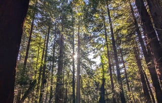 Affordable Camping 2025 Jayco sleeps 5-6