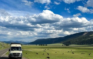 4WD All-Season "Jane" UNLIMITED MILES + Starlink