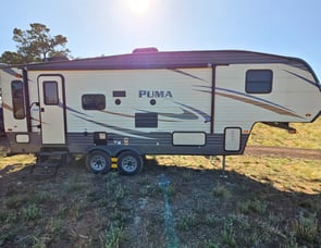 Palomino Puma 253-FBS