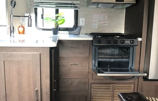 2019 Wildwood Forest River