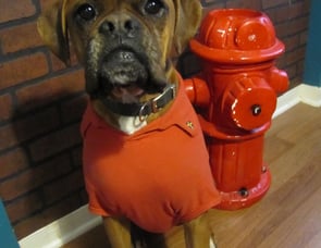 Starcraft AR-ONE MAXX 27BHS