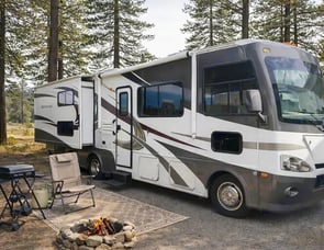 Forest River RV Georgetown 351DSF