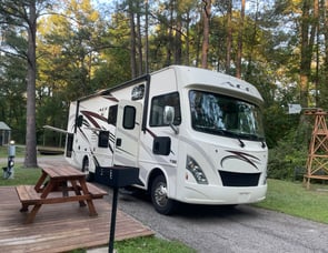 Thor Motor Coach ACE 30.3