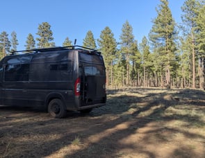 Dodge Ram Promaster Ram Promaster 2500