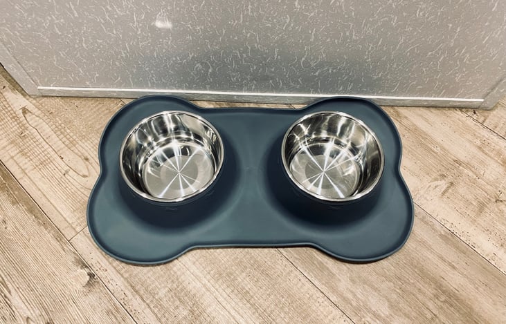 Bring your pup! We got him/her covered!