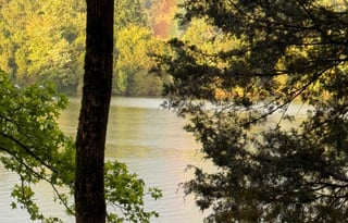 Travelbug Adventures: 2018 Forest River