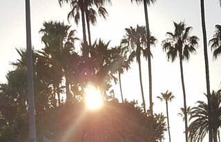 Forget the hassle w/ Rental delivery and set up!!!