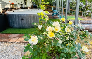 River Wolf Retreat (Stationary Camper)