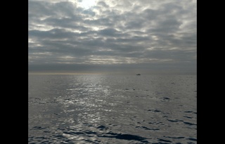 PERFECT Family RV Trailer Bunk House-PetsWelcome