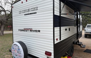 Say "Hello" to Evie!