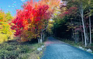 2017 Thor Motor Coach Four Winds 24C