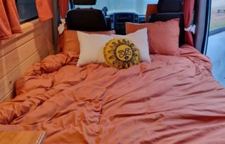 Edgar: Converted Sprinter Van * Pet Friendly *