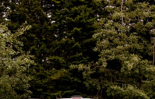 1999 Ford Ford Econoline