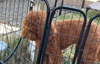 Are You Ready for Your Next Great Adventure?