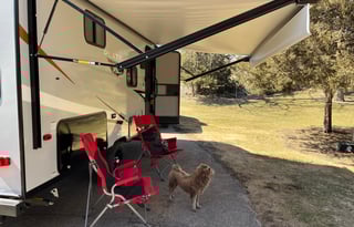 2022 Forest River RV Wildwood FSX 178BHSKX