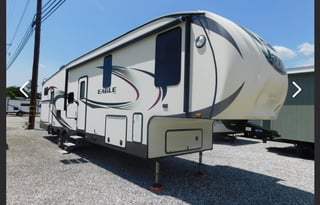 Fun and friendly family bird