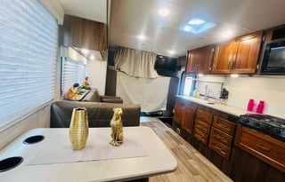 T2020 CONVENIENT & EASY TO DRIVE WINNEBAGO CLASS C