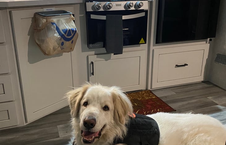 Dog friendly, even at 130 lbs!