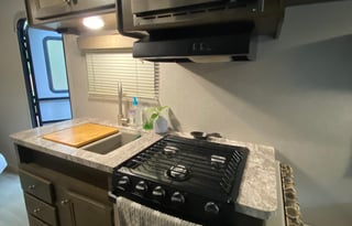 The Light of the Woods