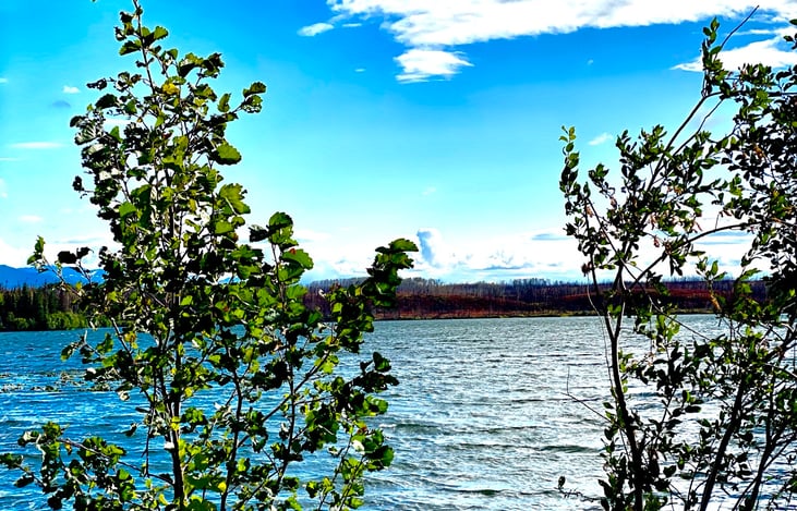 Petersen Lake, Cooper Landing