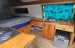 Da Dolphin