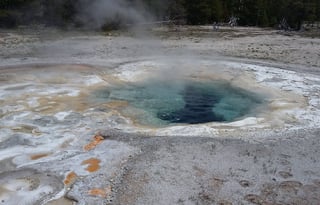 4WD All-Season "Rosie" UNLIMITED MILES + Starlink