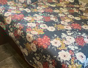 Forest River RV Sandstorm T232SLC