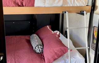 Thor Outlaw Toy Hauler! Bring the Toys, and Pets!