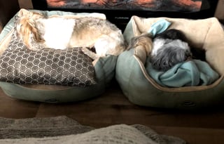 SUMMER SPECIAL-Your Comfortable Glamping Solution!