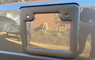 "WanderPop" - Luxury Off Grid Noovo Camper Van