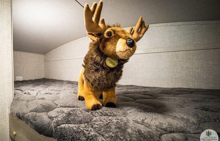 Deer crossing!  These bunks are big enough for adults to easily sleep!  Very Comfortable!
