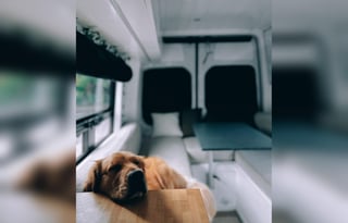 Custom Built Luxury Off-Grid Apt on Wheels