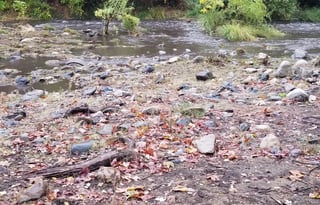 T and A Happy Clampers