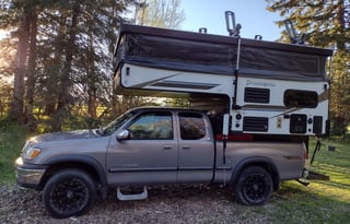 Pack-n-Play Palomino