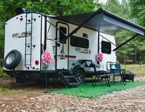Forest River RV Rockwood GEO Pro G19FBS
