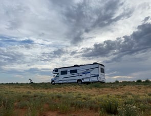 Forest River RV Forester Classic 3011DS Ford