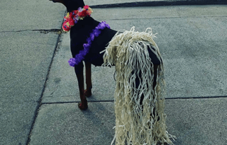 2013 Skyline Nomad Retro 173