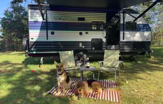 2021 Forest River RV Cherokee Wolf Pup 18TO