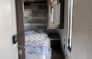 Pet friendly 2021 lantern