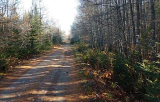 2005 Keystone RV Cougar 301BHS