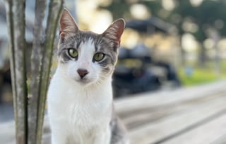 RV right off of I-10 with 6 Acre Pond